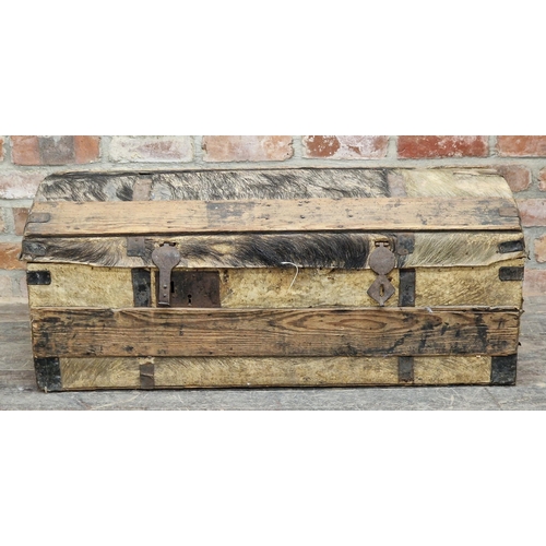 1063 - Antique pony skin domed top trunk with iron banding and handles, H 42cm x W 102cm x D 47cm