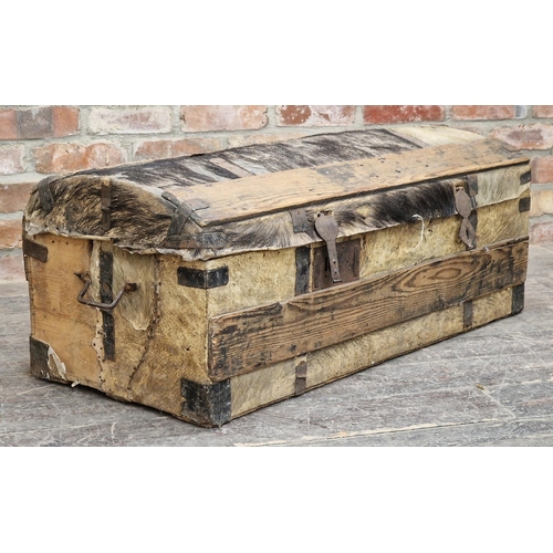 1063 - Antique pony skin domed top trunk with iron banding and handles, H 42cm x W 102cm x D 47cm