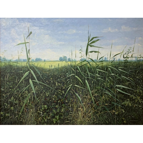 3072 - Norton Evans (20th century school) - wild flower rural field scene, signed, oil on board, 97cm x 74c... 