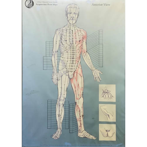 1490 - Anatomical printed illustrations depicting acupuncture points, framed, 59cm x 42cm (3)