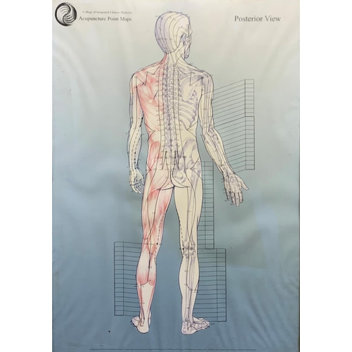 1490 - Anatomical printed illustrations depicting acupuncture points, framed, 59cm x 42cm (3)