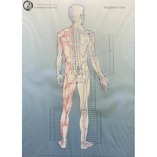 1490 - Anatomical printed illustrations depicting acupuncture points, framed, 59cm x 42cm (3)