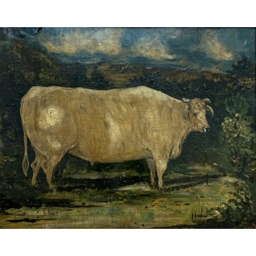 1494 - 19th Century English School - Naïve portrait of bull, oil on board, 59cm x 49cm, framed