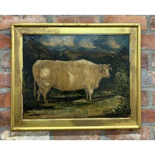 1494 - 19th Century English School - Naïve portrait of bull, oil on board, 59cm x 49cm, framed