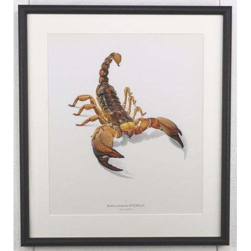 1465 - Bernard Durin (1940 -1988) Field Scorpian lithograph, framed, 36.5cm x 41.5cm