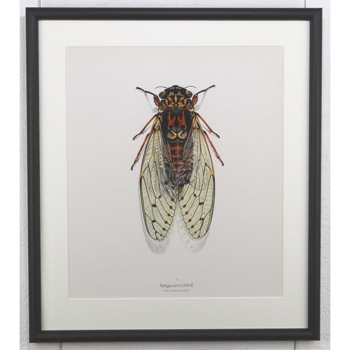 1466 - Bernard Durin (1940 -1988) Ash Manna Cicada lithograph, framed, 36.5cm x 41.5cm