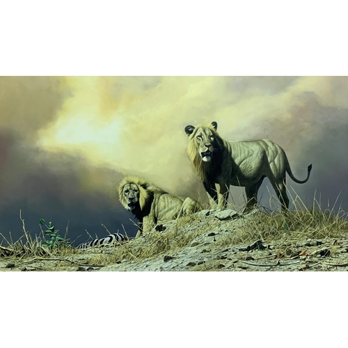 1507 - Craig Bone (1955-) Two Lions in landscape scene, signed, oil on canvas, 160cm x 90cm, framed