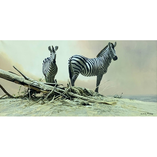 1510 - Craig Bone (1955-) Zebras in landscape scene, signed, oil on canvas, 58cm x 28cm, framed