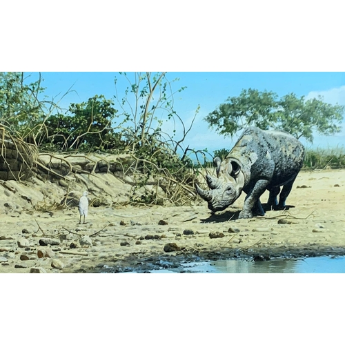 1511 - Craig Bone (1955-) Rhinoceros at the watering hole, signed, oil on canvas, 48cm x 28cm, framed