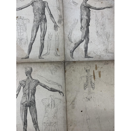 1454 - Collection of 19th century German medical anatomical etchings on card, signed Dr Munz Fecit, held in... 