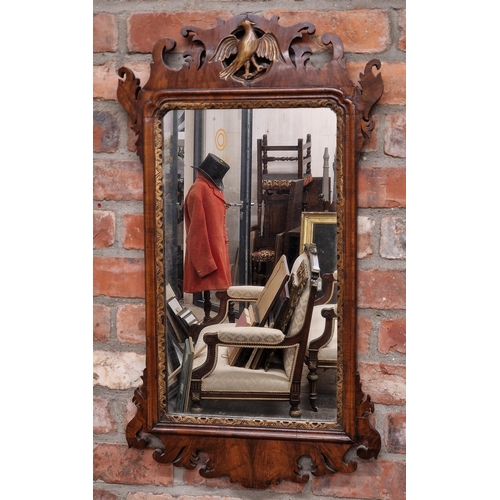 1437 - Georgian mahogany fretwork wall mirror with carved gilt bird decoration, H 86cm x W 48cm