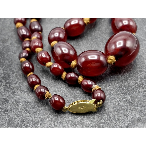 109 - Vintage cherry amber Bakelite graduated bead necklace, silver gilt clasp, 55cm long, 32g