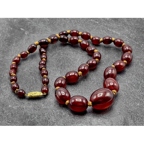 109 - Vintage cherry amber Bakelite graduated bead necklace, silver gilt clasp, 55cm long, 32g