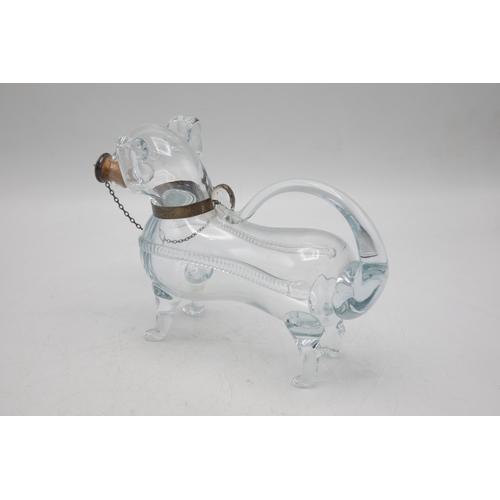 483 - 1930s novelty hand blown glass decanter in the form of a dog, with silver plate collar and chain wit... 