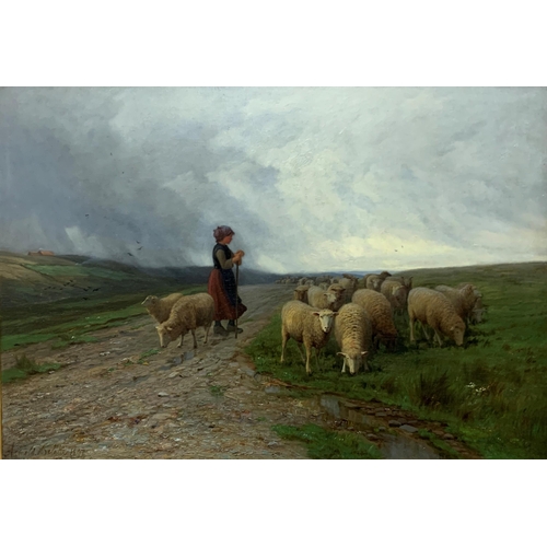 1559 - Arnold Helcke (1843-1912) - shepherdess with a flock of sheep on a highland track, signed and dated ... 