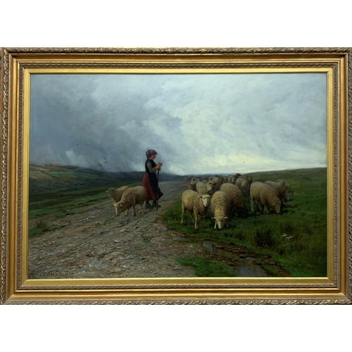 1559 - Arnold Helcke (1843-1912) - shepherdess with a flock of sheep on a highland track, signed and dated ... 