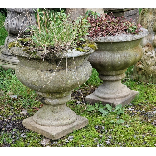 1019 - Pair of reconstituted stone garden urns (planted) (2)