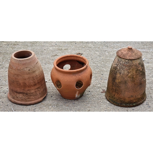 1047 - Weathered terracotta lidded rhubarb forcer H 40cm,  together with a further forcer and a terracotta ... 