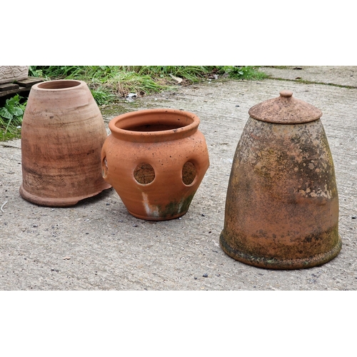 1047 - Weathered terracotta lidded rhubarb forcer H 40cm,  together with a further forcer and a terracotta ... 