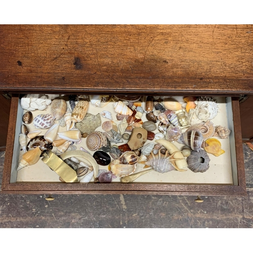 1375 - Good quality 19th century specimen cabinet with contents, to include minerals, fossils and taxidermy... 