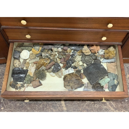 1375 - Good quality 19th century specimen cabinet with contents, to include minerals, fossils and taxidermy... 