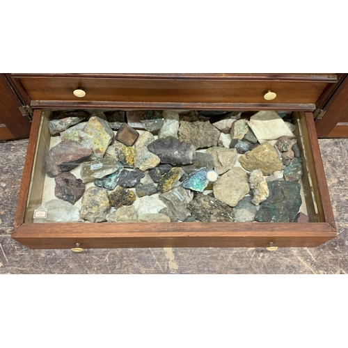 1375 - Good quality 19th century specimen cabinet with contents, to include minerals, fossils and taxidermy... 