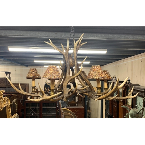 1402 - Impressive stag antler six light chandelier, each shade having pheasant feather decoration, D 110cm ... 