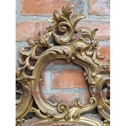 1442 - Good pair of decorative ornate gilt Rococo style wall mirrors, H 166cm x W 101cm (2)