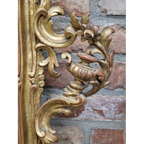 1442 - Good pair of decorative ornate gilt Rococo style wall mirrors, H 166cm x W 101cm (2)