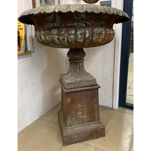 1137 - Large good cast iron garden urn on pedestal with flared egg and dart rim, lobed bowl and fluted socl... 