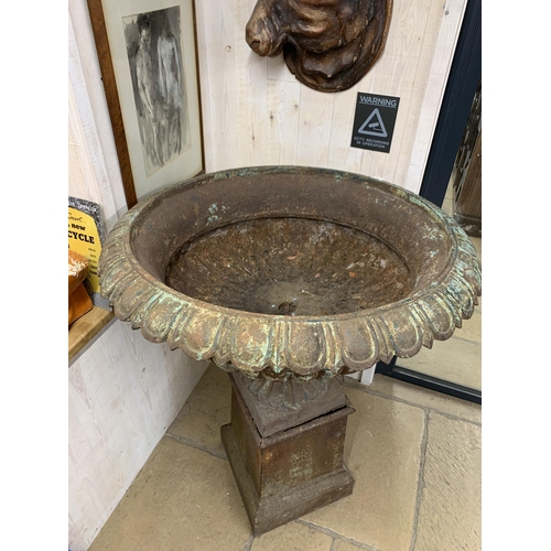 1137 - Large good cast iron garden urn on pedestal with flared egg and dart rim, lobed bowl and fluted socl... 