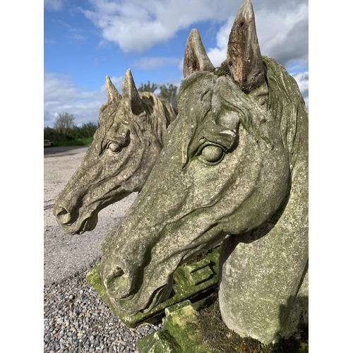 1033 - Exceptional quality pair of weathered reconstituted stone horse heads on plinths, H 69cm (2)