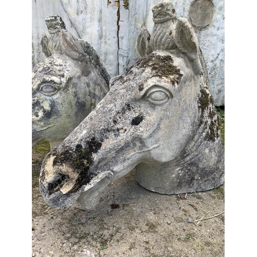 1165 - Good pair of carved natural stone horse or unicorn heads, H 50cm x W 75cm