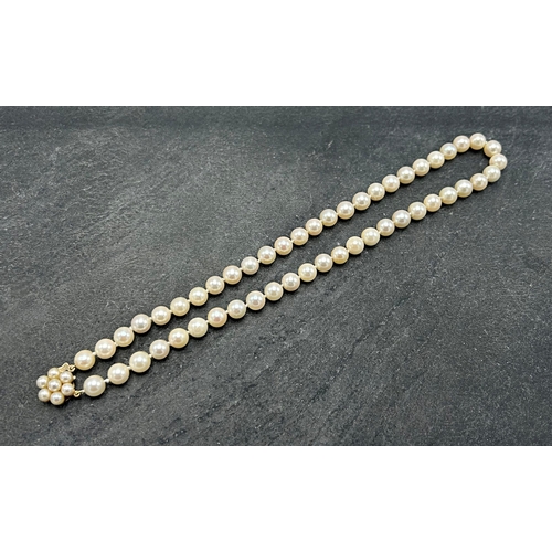 55 - Vintage string of pearls with 9ct clasp, 42cm long