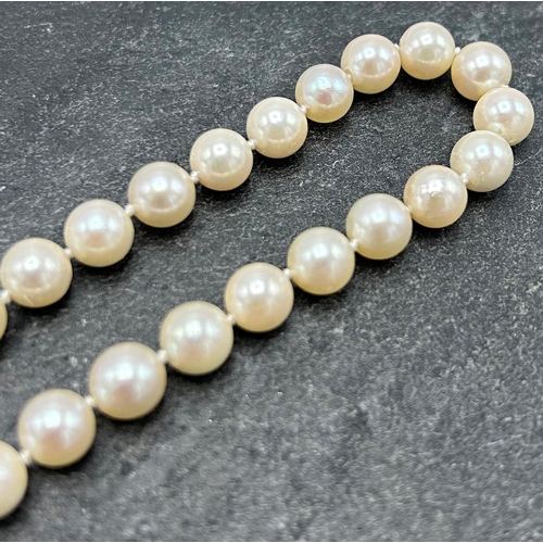 55 - Vintage string of pearls with 9ct clasp, 42cm long