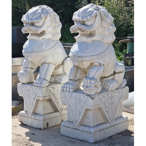 1168 - Exceptional pair of marble Foo Dog statues, H 111cm (2) (AF)