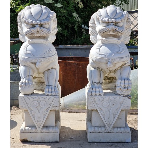 1168 - Exceptional pair of marble Foo Dog statues, H 111cm (2) (AF)