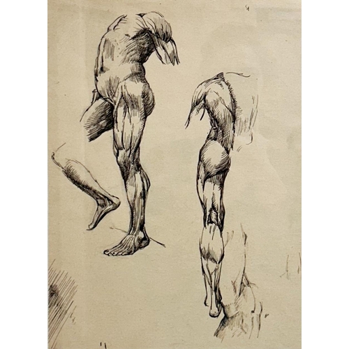 1487 - 20th century school - Nude studies, unsigned, pen and ink sketch, 35 x 25cm, framed