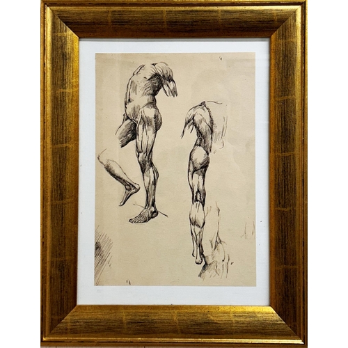 1487 - 20th century school - Nude studies, unsigned, pen and ink sketch, 35 x 25cm, framed