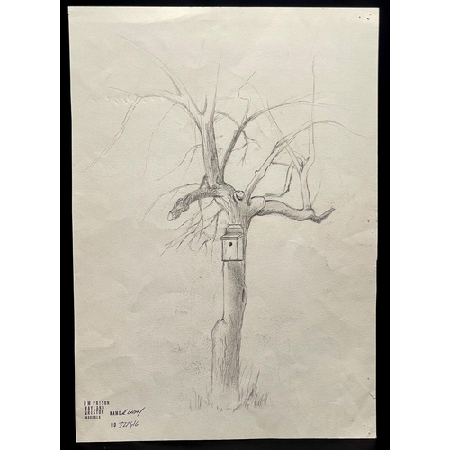 467 - Reginald 'Reggie' Kray (British, 1933-2000) - study of a tree, signed and dated 1998, graphite, 42 x... 