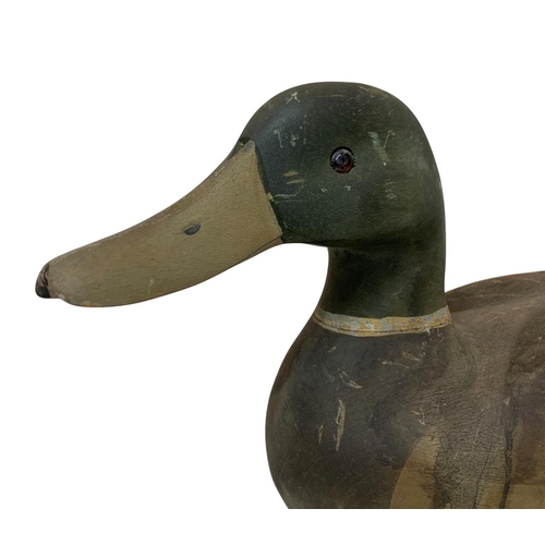 413 - Hand carved Folk Art mallard decoy duck with original inset glass eyes, L 42cm x 19cm