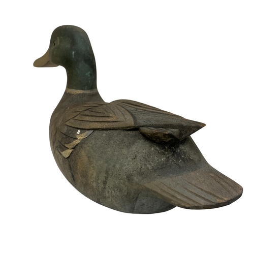 413 - Hand carved Folk Art mallard decoy duck with original inset glass eyes, L 42cm x 19cm