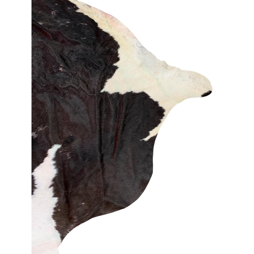 1077 - Taxidermy - large cow hide rug (Bos taurus), 230cm x 180cm