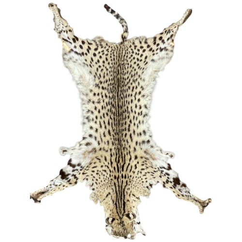 1083 - Taxidermy - three antique Serval skin rugs (Leptailurus Serval) and a Python snake skin. (Largest ru... 