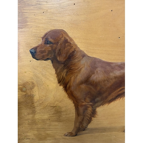 1515 - F.M Hollams (1877-1963) Portrait of dog, 'Finn', signed, oil on board, 45cm x 34cm, framed (A/F)