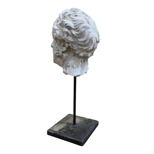 1464 - Classical style plaster head of man raised atop wooden stand, H 62cm