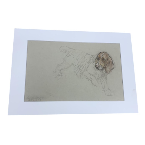 1577 - George Vernon Stokes (1873-1954) portrait of Spaniel, charcoal and pastel sketch, signed, 33cm x 21c... 