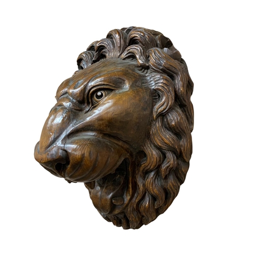 1483 - Incredible 19th centuiry Black Forest carved lions head, with open mouth, teeth and tongue, 64 x 40c... 