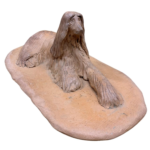 1472 - Deborah McCabe (20th/21st century) sitting Afghan Hound, clay sculpture, signed and dated, L 34cm x ... 