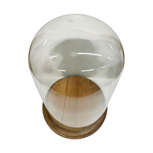 598 - Oversized glass display dome with original wooden base, H 65cm x D 45cm